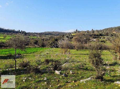 Milas Çamovalı Mah. Satılık Tarla