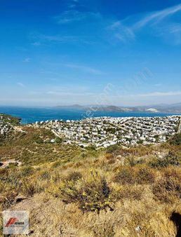 Bodrum Adabükünde Full Deniz Manzaralı Satılık Arsa