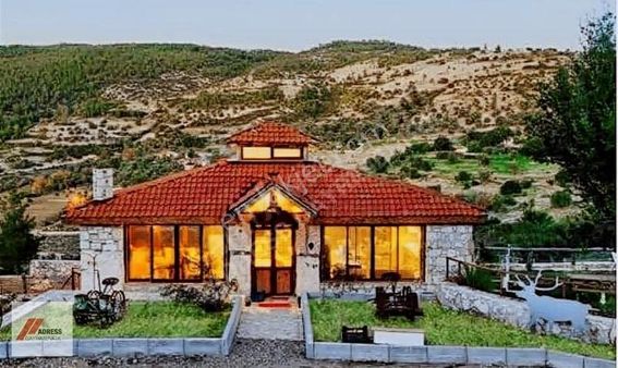 Milas Kayaderesi Hanımın Çiftliğinin Karşında Satılık Zeytinlik