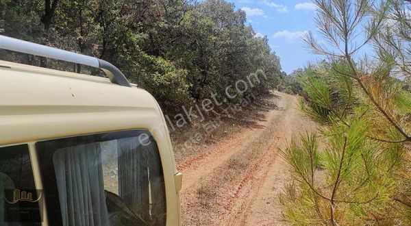 Nallıhan Tekke Yola Cephe Yeşilikler İçinde Araç Takas Açık