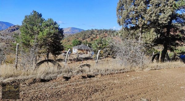 Nallıhan Tek Tapu Yanında Ev Var Araç Takas Lı Çiftliğe Uygun