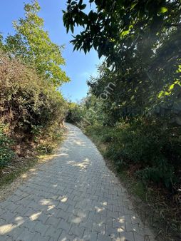 Akyörük Gayrimenkulden Satılık Tarla