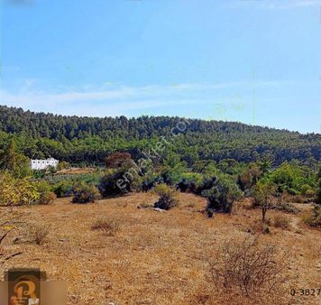 Antalya Kumluca Belen Acil Satılık 2575 M2 Ve 3175 M2 Arazi.....