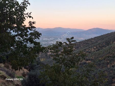 Öğretmen Emlaktan Hisarlıkta Tire Manzaralı 3.591 M² Zeytinlik