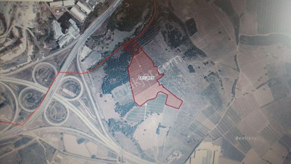 Ticari İmarlı Satılık 56 Dönüm Orhangazi Karsak İznik Girişinde Yola Yakın 1/25000 İmar Planında