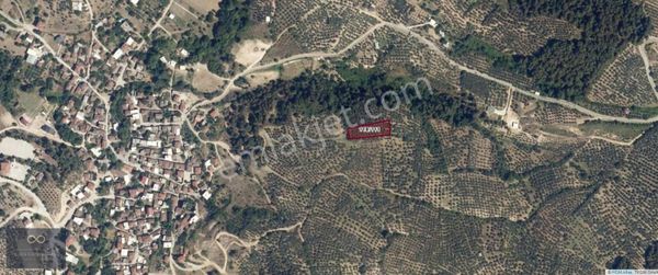 Mudanya Dereköy Satılık 2000 M2 Tarla Köye 250 Mt Mesafede