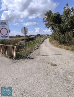 M.k.paşa Gayrimenkulden Atariye'de Yatırım Fırsatı 5.866m. Tarla