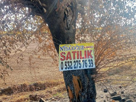 Sultanhisar Hisar Mah Tarla