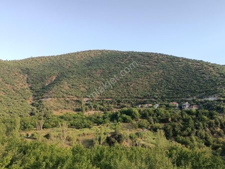 Turanlar Gayrimenkul'den Elazığ'da Satılık Mezra -bağ-bahçe-ev...