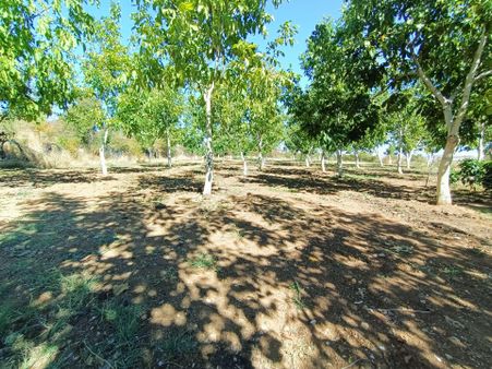 Turanlar Gayrimenkul'den Hankendi Gözpınar Köyünde Hazır Kurulu Düzen Satılık Bağ Bahçe Ev