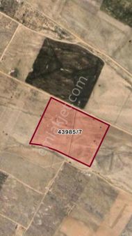 Sızmada Yatırımlık Tarla