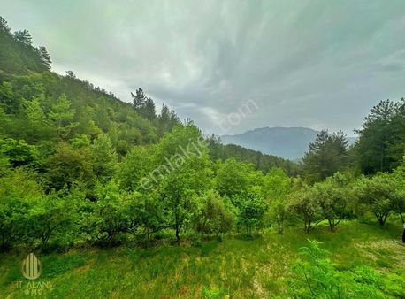 Satılık 2400 M2 Dere Kenarı Fırsat Tarla