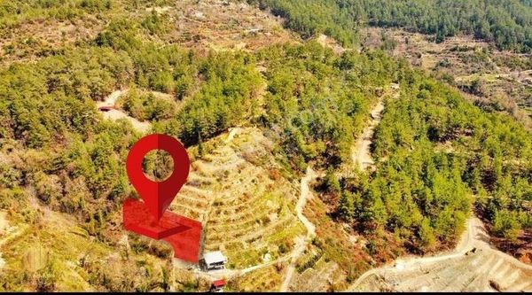 Alanya Uğurlu Da Hafriyatı Yapılmış Tarla