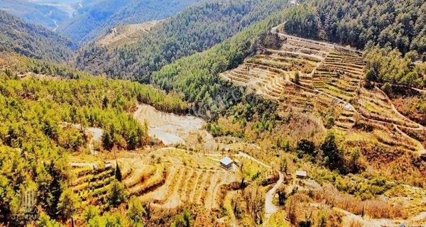 Alanya Uğurlu Da Baraj Manzaralı Tarla