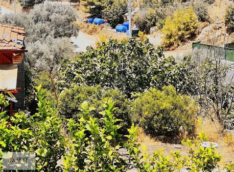 Fethiye Faralya'da Full Deniz Manzaralı 812m2 Arsa