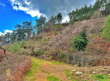 Alanya Uğurlu'da Hafriyatı Yapılmış Yol Su Elektrik Sorunu Yok
