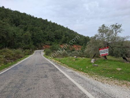 Ören Alatepe'de Kaçmaz Fırsat