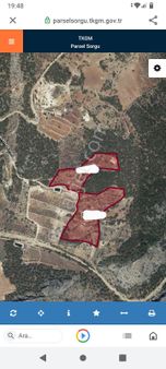 50 Dönüm Kelepir Zeytinlik