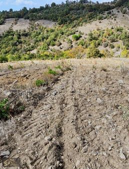 San Gayrimenkul'den 5.500 M2 Satılık Tarla