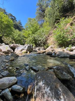 Altınoluk Dere Kenarı Zeytinlik - Rota -