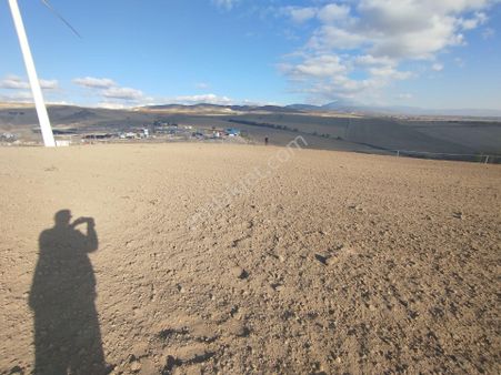 Erkan Anbar Dan Suluova Oğulbağı Köyünde Satılık Tarla