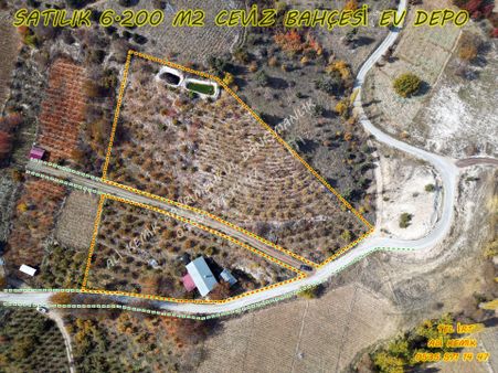 Satılık Ceviz Bahçesi +ev +depo