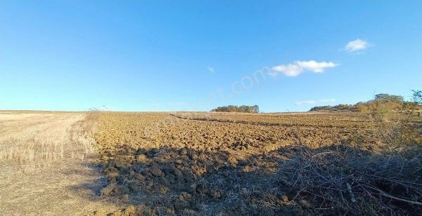 Bıyıkali Mahallesi'ne Toplam 2500m2 Satılık Tarla (10 Parça)