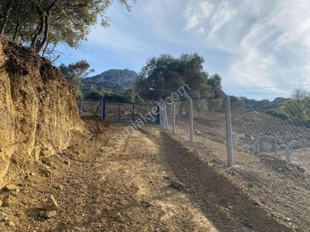 Çanakkale Gökçeada Zeytinli Yolu Mevkinde Anayola Cepheli Tarla