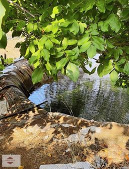 Manisa Alaşehir Kozluca Köyünde Satılık Bağ Ve Meyvelik