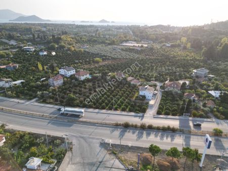 Goldhouse Dan Satılık Tarla Ana Cadde Üzeri Yatırımlık 1.992m2