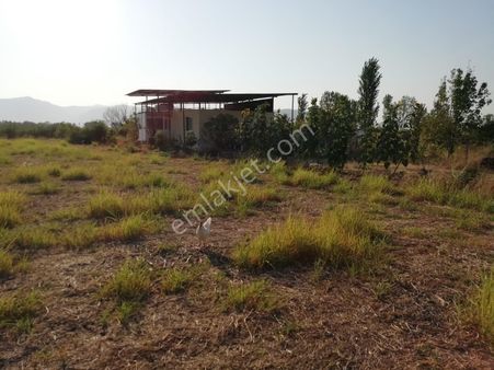 Muğla Ortaca Tepearasında Satılık Müstakil Ev Ve Arazi