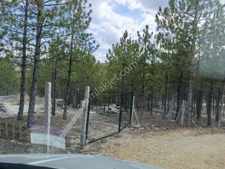 Konya Beyşehir Yolu Apa Barajı Civarı Doğayla İç İçe