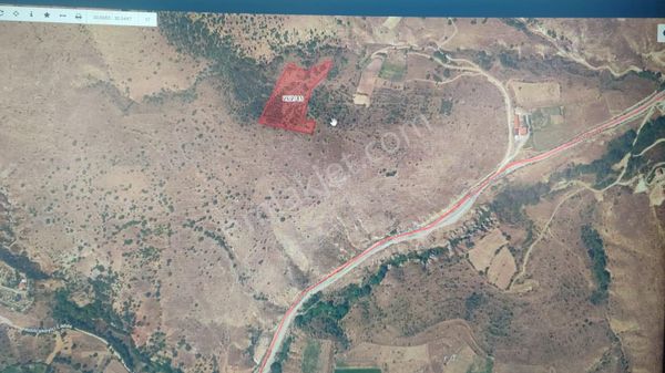 Afyon Tezcan Emlaktan Değirmenayvalıda Satılık Tarla