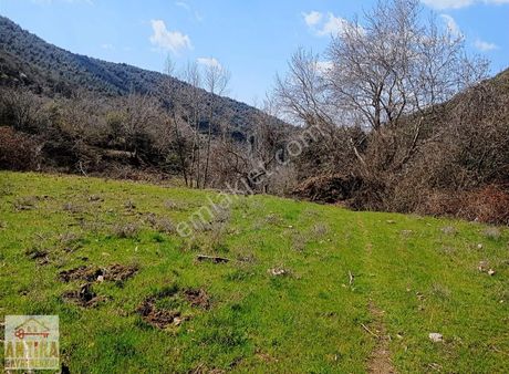 Antika Gayrimenkul'den Burgaz Da Satılık Arsa