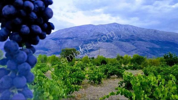 Kelepir Egirdir Gölüne 12 Km Arsa Niteliginde
