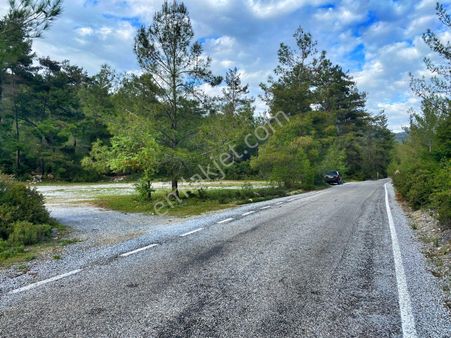 Yalıçiftlik Gener'de Yola Sıfır Satılık Tarla