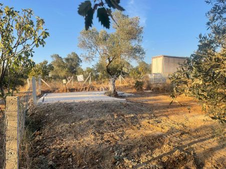 Torbali Dirmil-saipler-karaotda 205 M2 Parseller