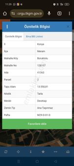 Konya Meram Boruktolu Mahallesinde Satılık 13550 M2 Süper Tarla