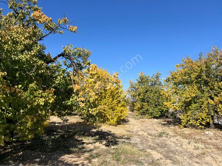 Gündüzbey Satılık Arsa