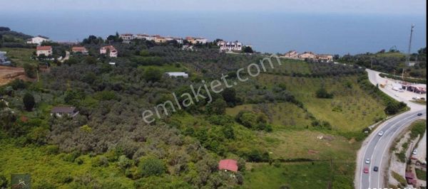 Yalova Koru Köyde Deniz Manzara 440 M2 İmarlı Arsa