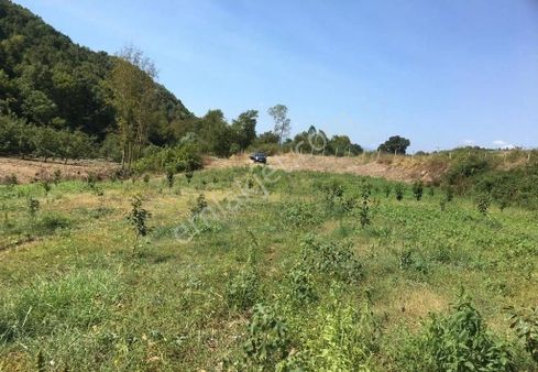 Kardeş Emlak 'tan Avcıköy 'de Satılık Kupon Arsa