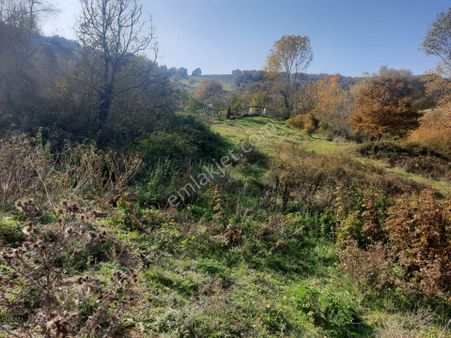 Karamürsel Çamdibi 335 M2 Konut İmarlı Arsa