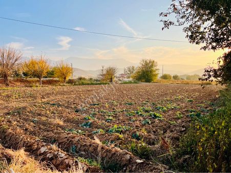 Şahin Gayrimenkul Den Ödemiş Tire Ana Yoluna 0 Yol Kenarı Yatırımlık Tarla