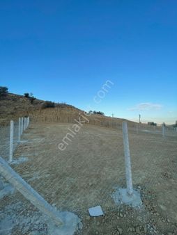 Bulumya Da Satılık