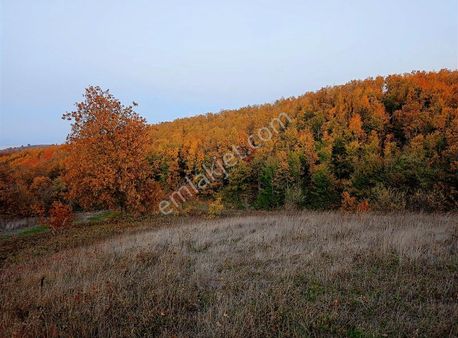 Nilüfer Güngören'de Köye Yakın 2023m2 Müstakiltapu Satılık Tarla