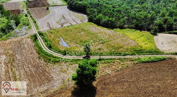 Kocaeli Kandıra Seyitaliler