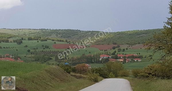 Kemalist Gayrimenkul'den, Sarıkoz'da 1830 M2 Arsa Kelepir !!!!