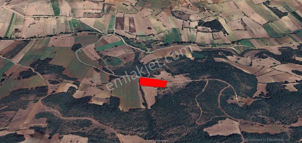 Roma' Dan Çavuşköy ' De Satılık Tarla