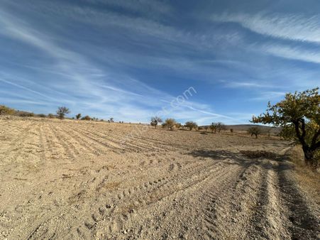Öz Gaye Emlaktan Develi Çomaklı Yapraklıburun Mevkiinde Satılık Tarla