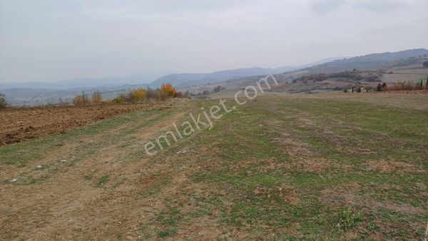 Kocaeli Karamürsel Kızderbent 5761 M2 %5 İmarlı Tarla
